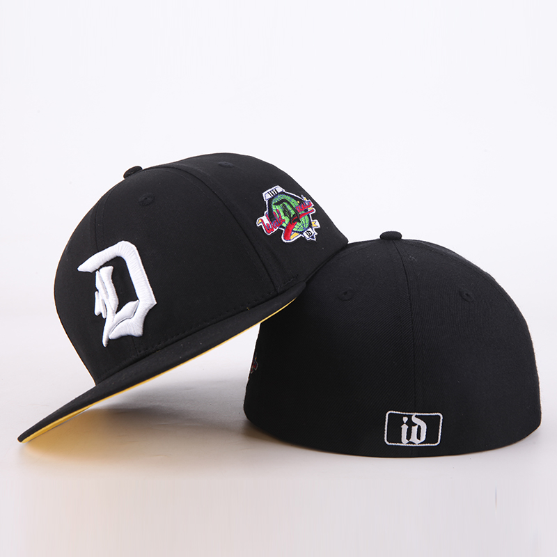 custom snapback cap with 3D embroidery logo 